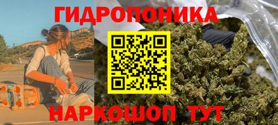 наркотики Кингисепп