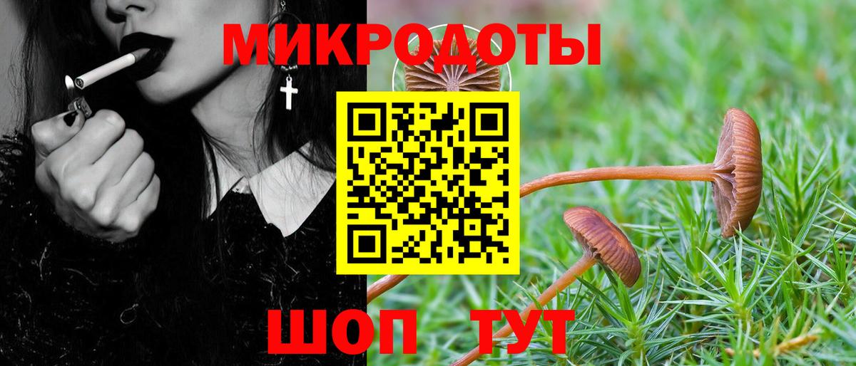 Галлюциногенные грибы Magic Shrooms  Псилоцибиновые грибы Psilocybine cubensis  Вход с VPN  купить  цена  Курчалой 