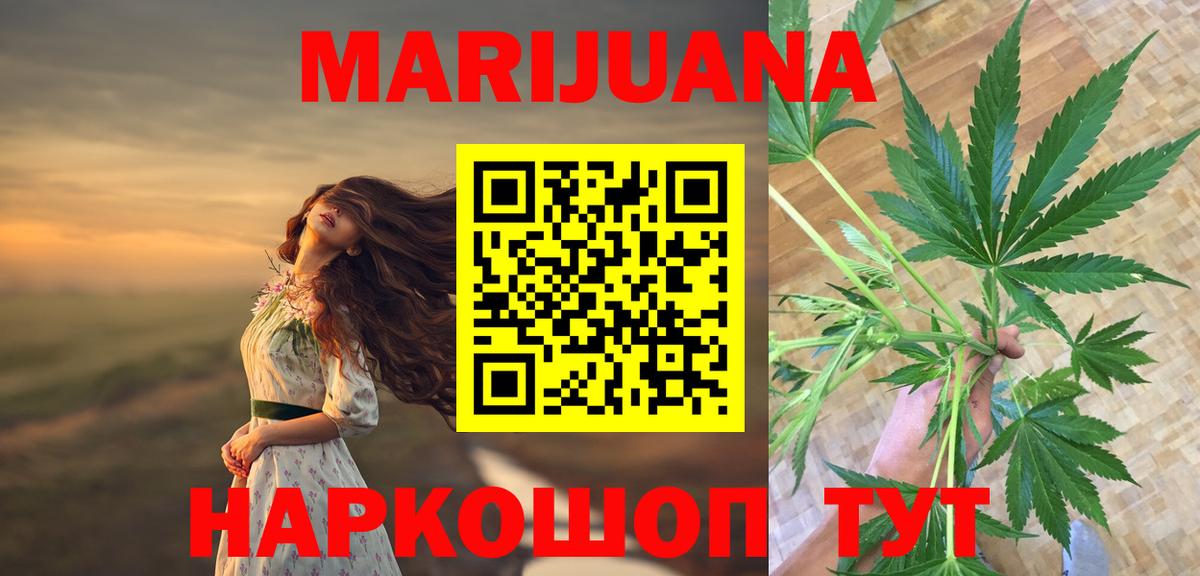 Бошки марихуана SATIVA & INDICA Курчалой